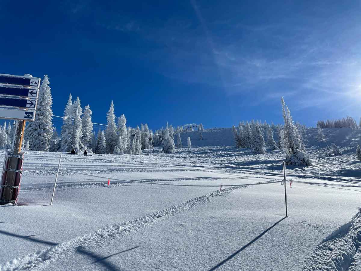 starts with a connection